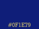 Color swatch of #0F1E79.